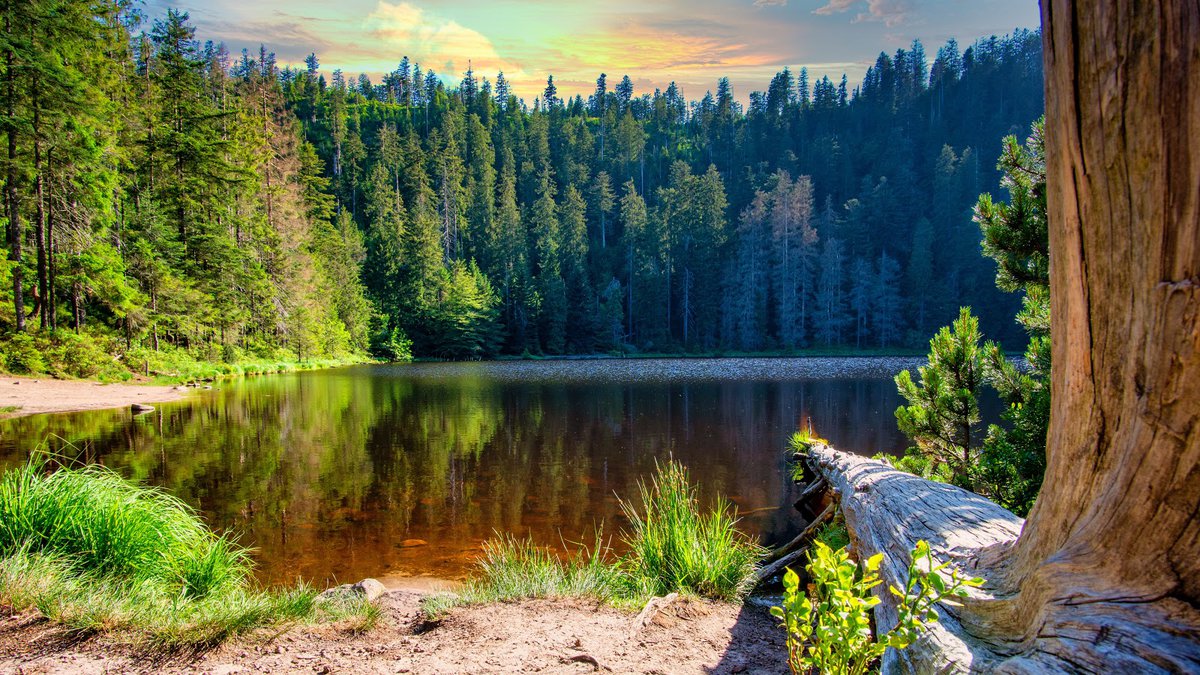 السياحة في الغابة السوداء المانيا